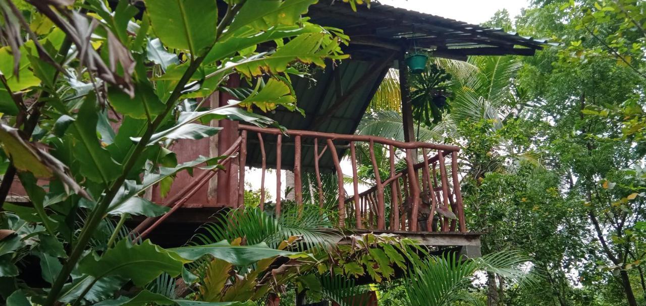 Вілла Sigiri Panaromic Tree House Сігірія Екстер'єр фото