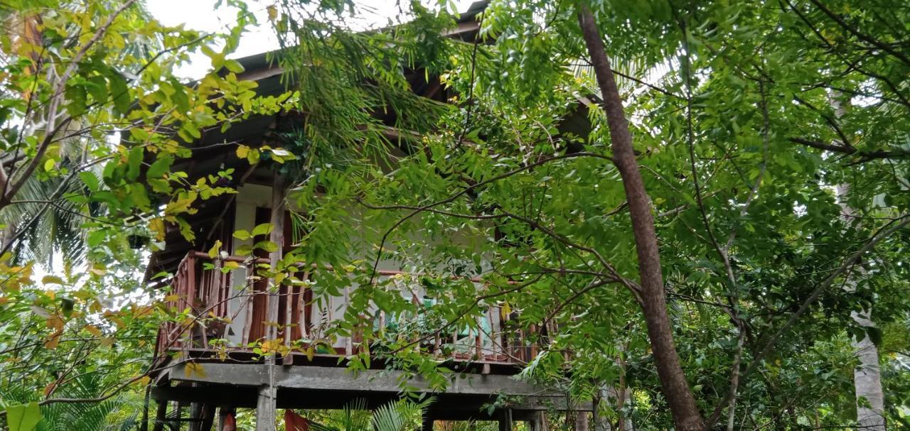 Вілла Sigiri Panaromic Tree House Сігірія Екстер'єр фото